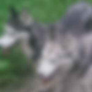 trixie (59) aus Würzburg