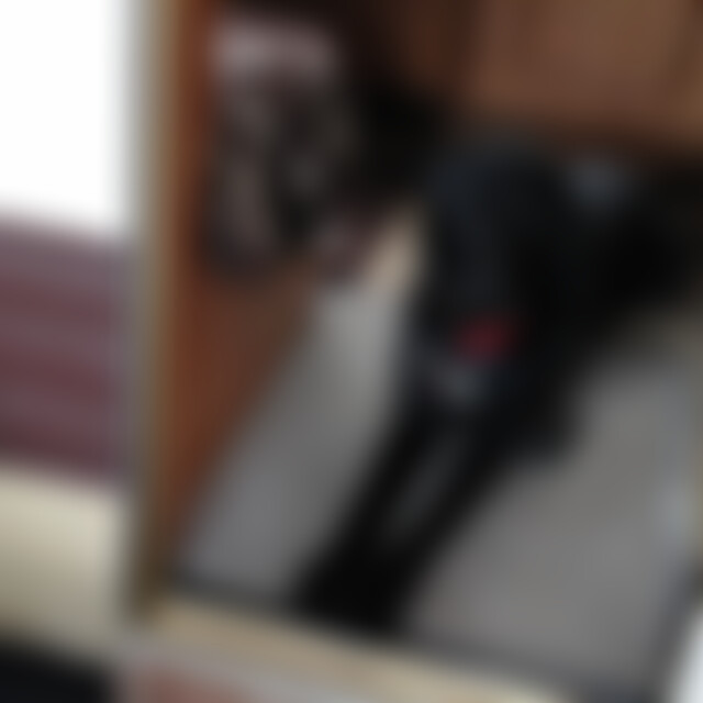 Stefaniiew (48) aus Detmold