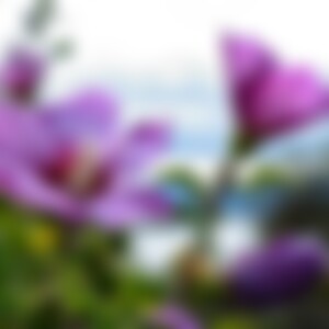 58Laura (66) aus BadenWü