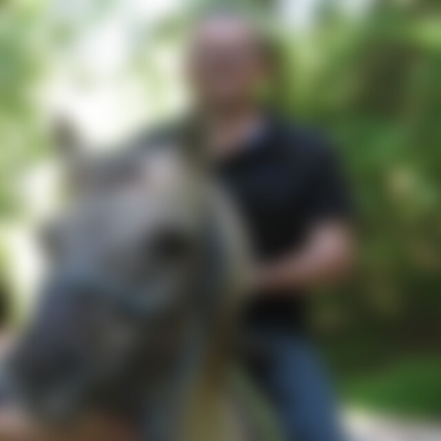 SvensonHb (60) aus Dresden