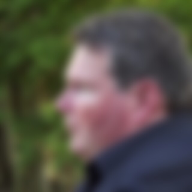 Mauerkletterer (54) aus Würselen