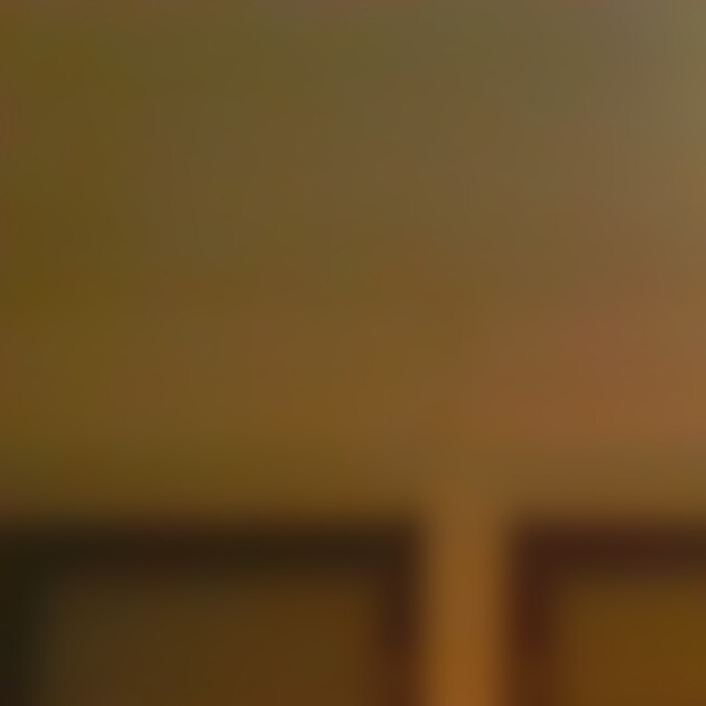Sortex (35) aus 