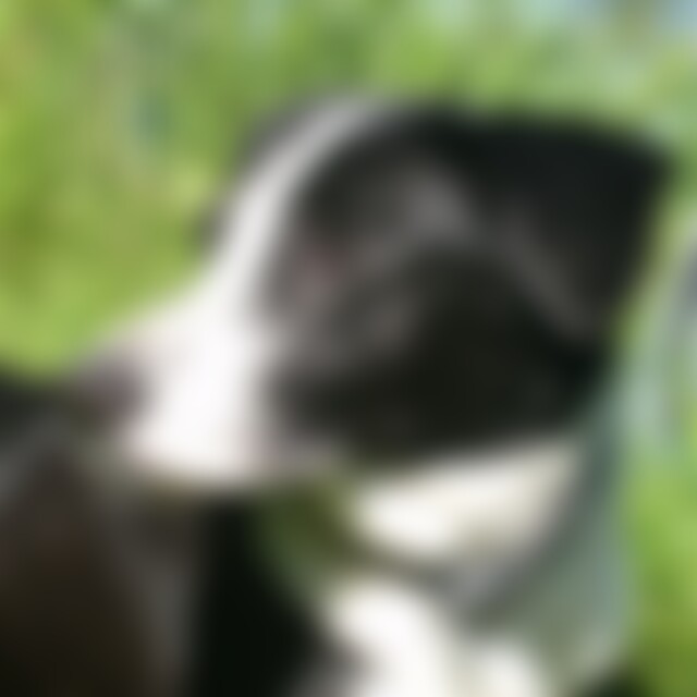 Morgain (55) aus xxxx
