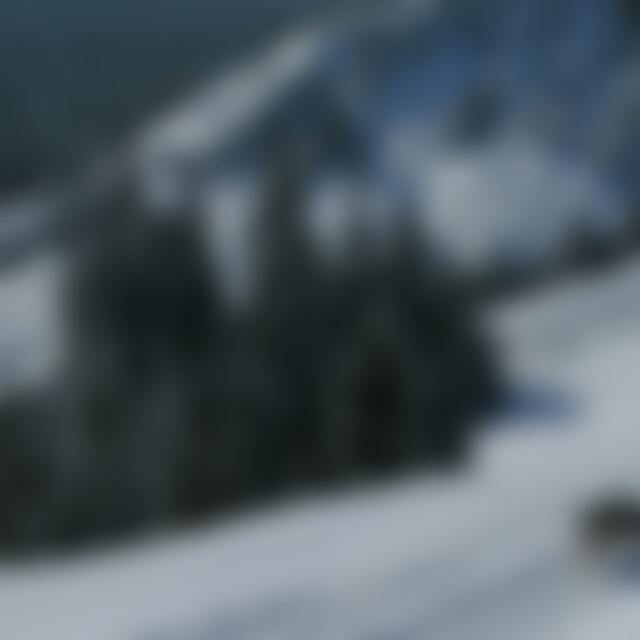 Musher (75) aus Abländschen