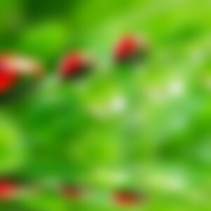 Laura33 (41) aus 