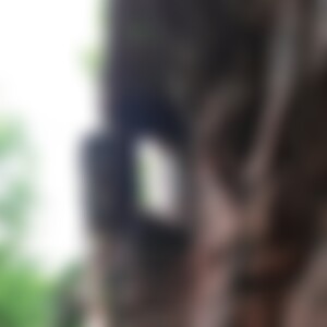 filiasilva (49) aus Neukirch