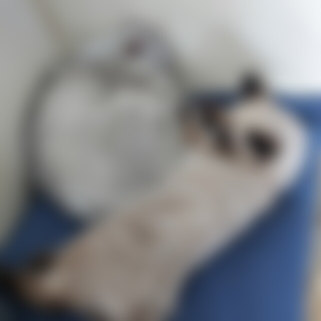 8aus26 (50) aus 