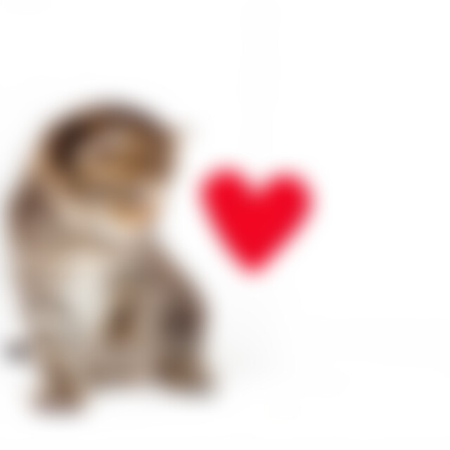 Teddy007 (38) aus 