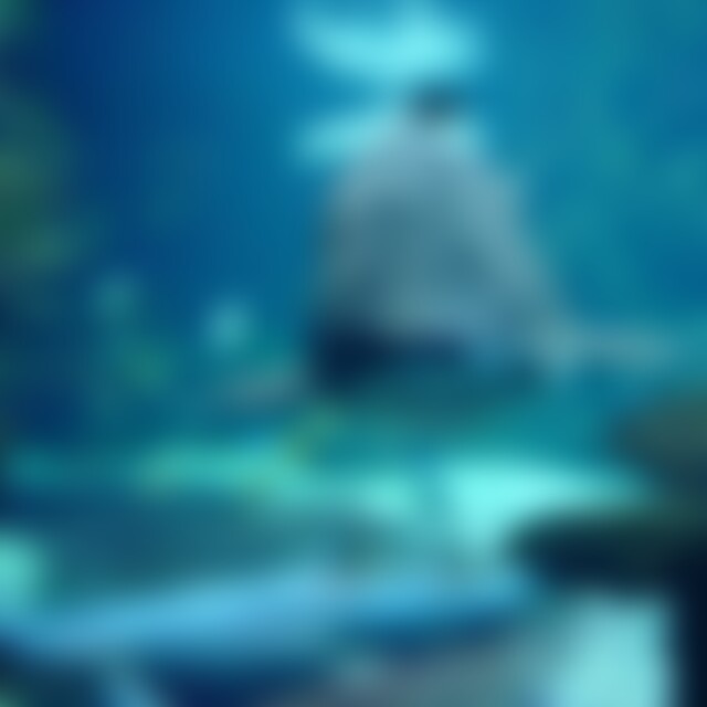 Junggebliebene (72) aus Berlin