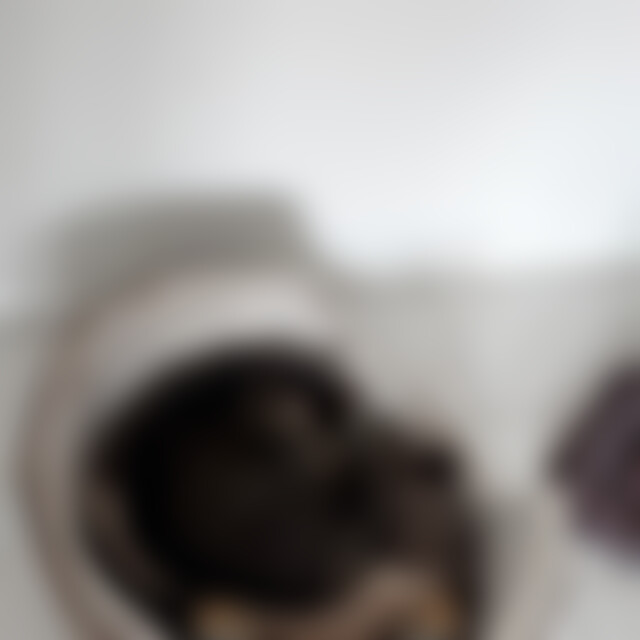 animalfriend (51) aus Buchholz