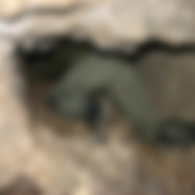 Andi1973 (52) aus Gärtringen