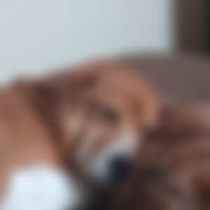 Hundis (63) aus Zuhause