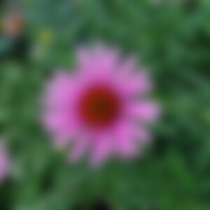 perfectday (64) aus Baden Württemberg