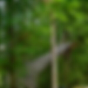DennisNett (28) aus Wuppertal