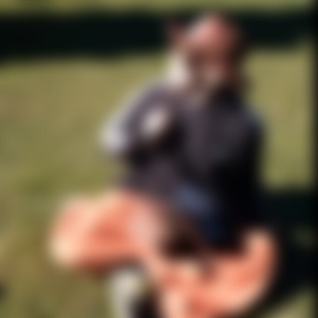 Zorro111 (36) aus VR/NVP