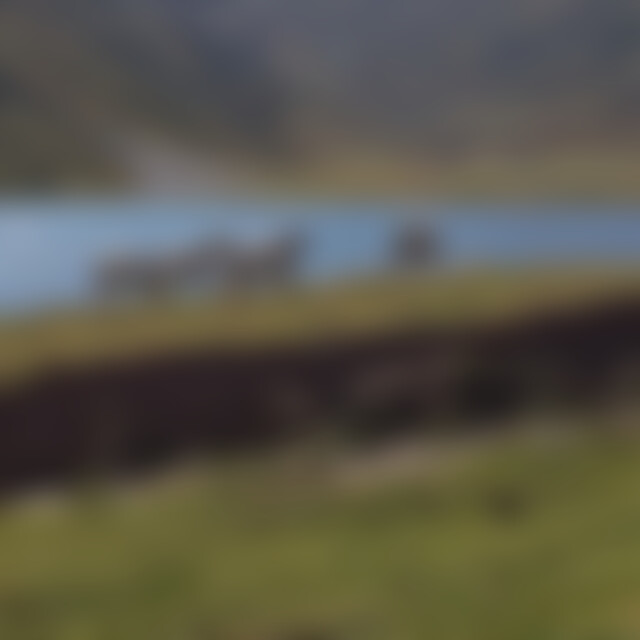 Kimba (58) aus Schirmitz