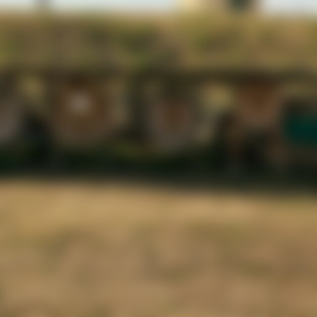 Gedankenraeuber (41) aus Dresden