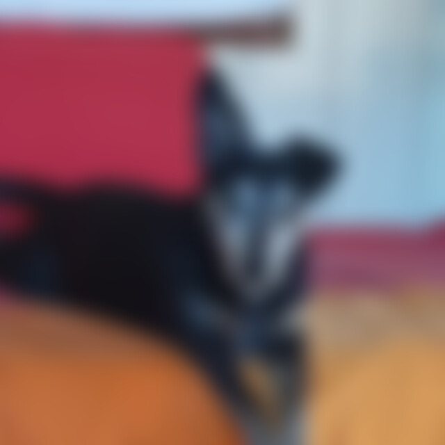 Sternensucherin (61) aus Gronau