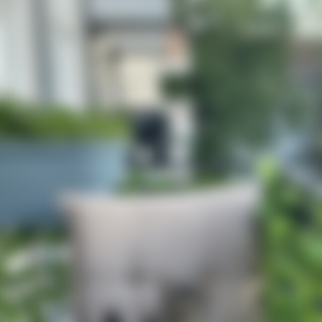 HoleInOne (43) aus Berlin