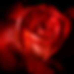 RedRose (58) aus Herne