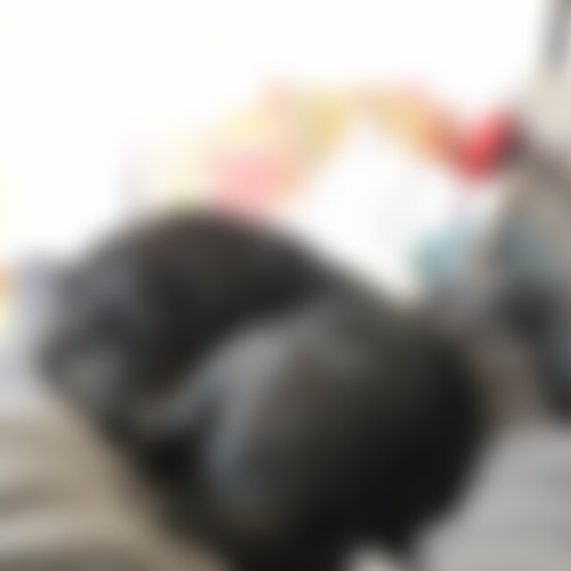 Hollister (54) aus Wilhelmshaven