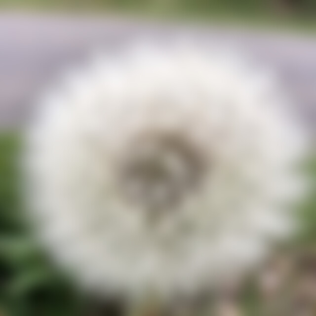 heichen (64) aus 