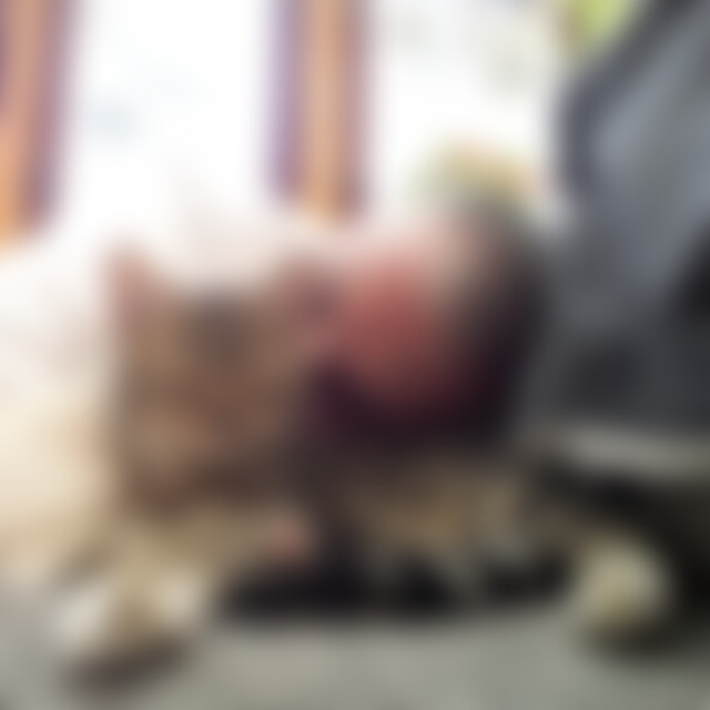 Maggis (59) aus H