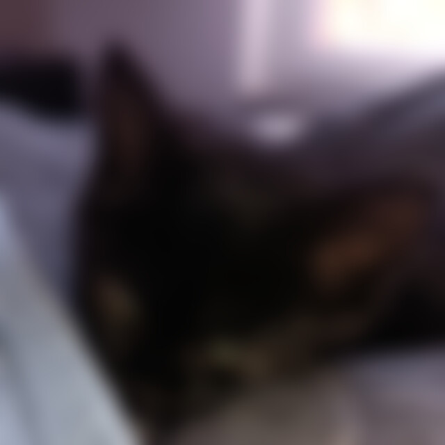 Fenris (52) aus Wadern