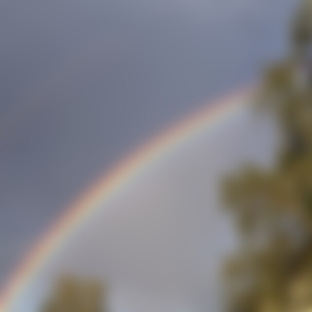 SEESTERNCHEN (59) aus Beeskow