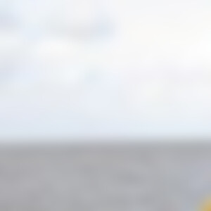 Ral75 (51) aus X