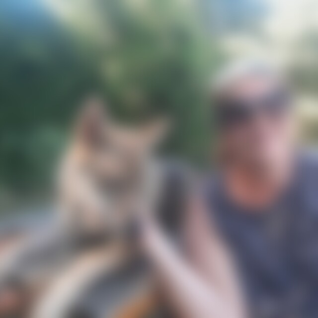 Husky (60) aus Wien