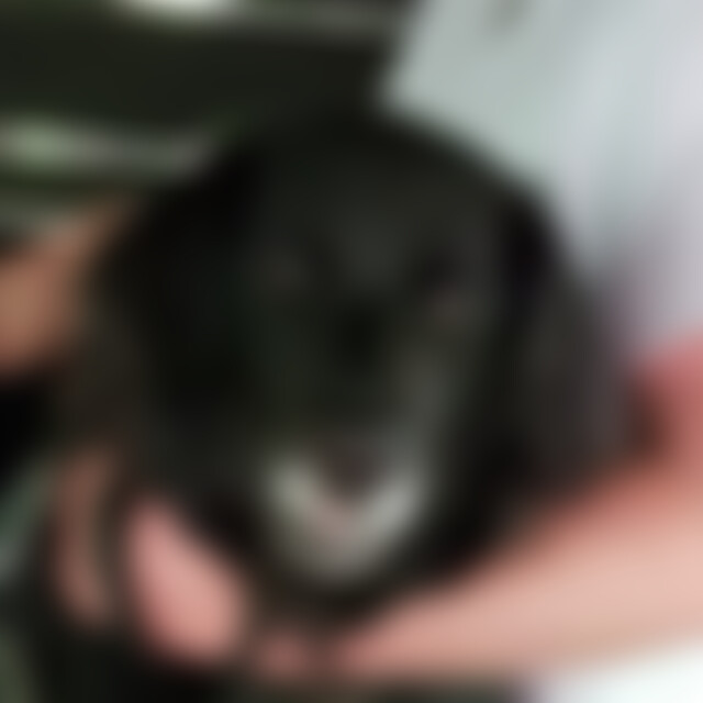 Sandro1997de (29) aus Wettenberg