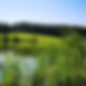 Amy31 (36) aus Gera