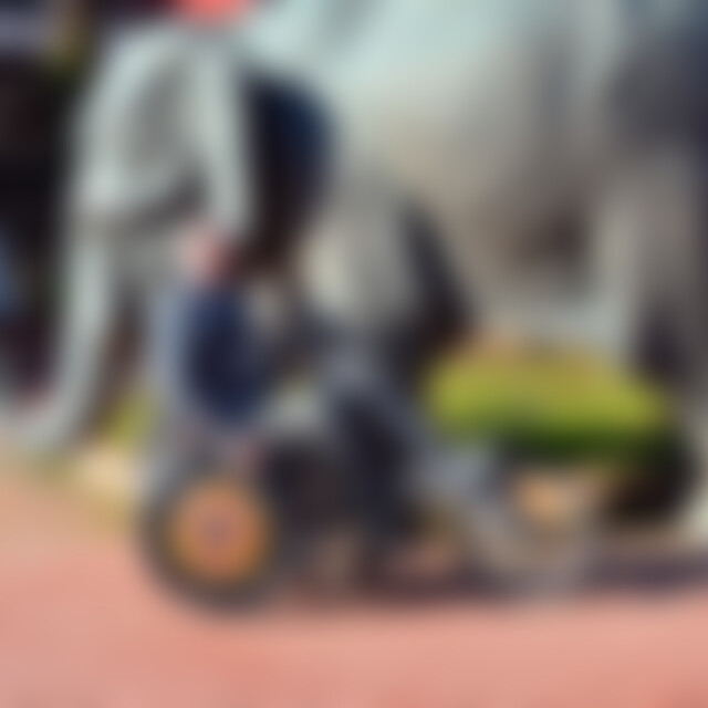 Rollstuhlfahrer68 (58) aus 