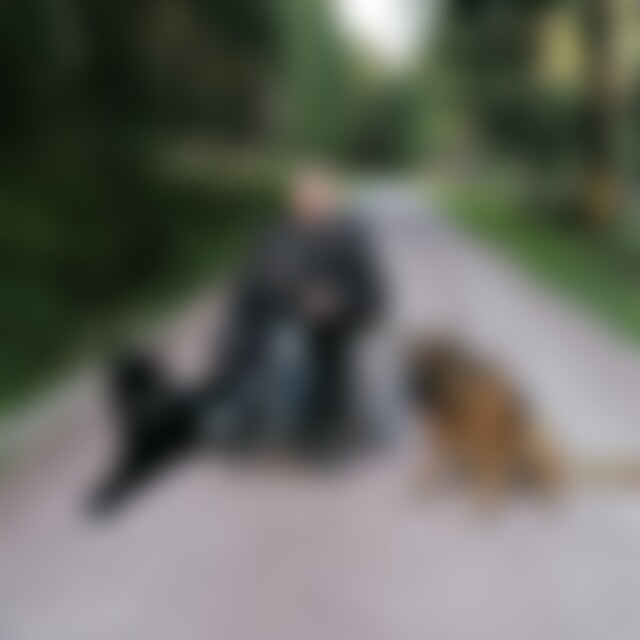 Blackwolf (34) aus Göttingen