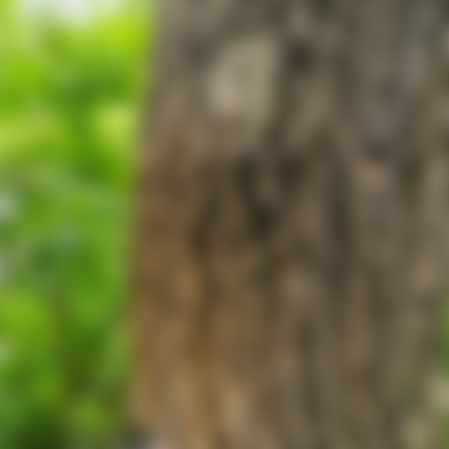 Remy (31) aus Leinfelden Echterdin