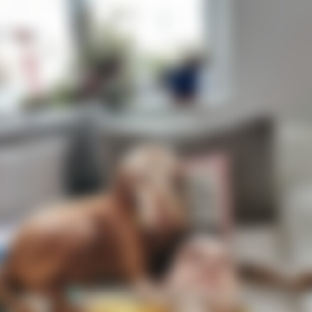 Kayon (35) aus Massing