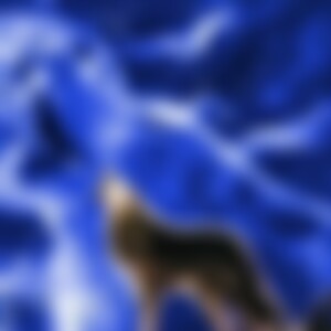 franky67 (59) aus xxxxxxx