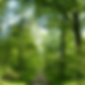 DaDan84 (41) aus 