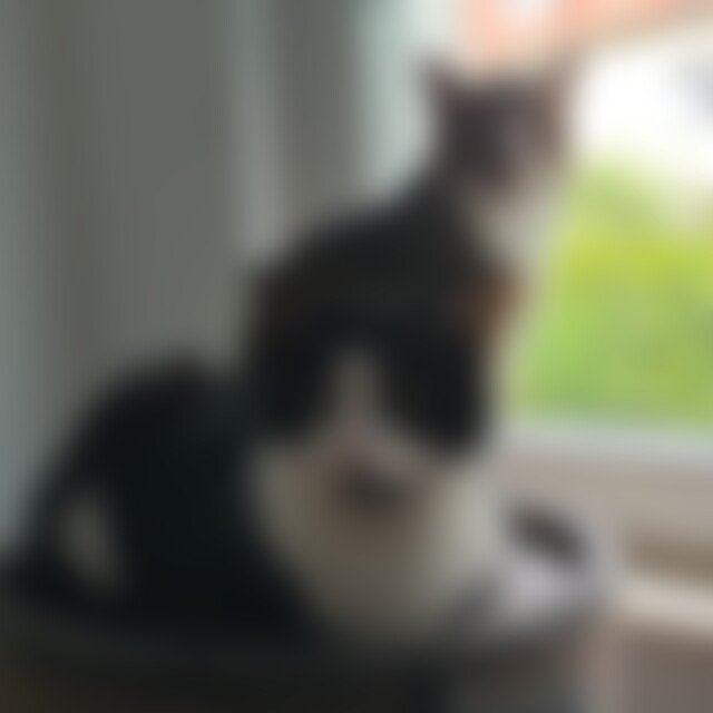 Rhitari (29) aus Stuttgart Stammheim