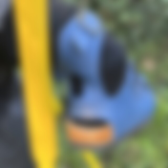 Schwimmbine (45) aus bei Köln