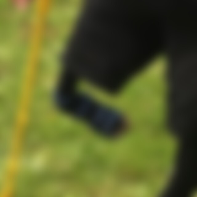 Schwimmbine (45) aus bei Köln