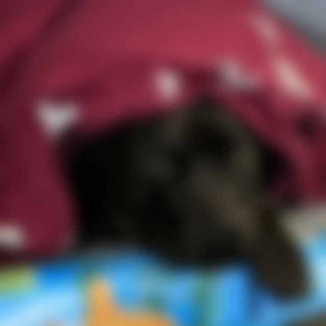 Chucky1m (56) aus Dortmund