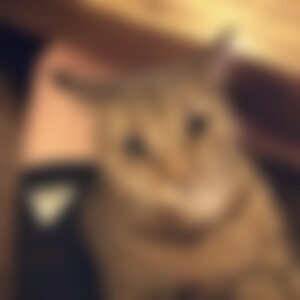 Dano (50) aus Schwalbach