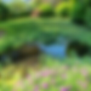 Mohnblume (69) aus Pinneberg