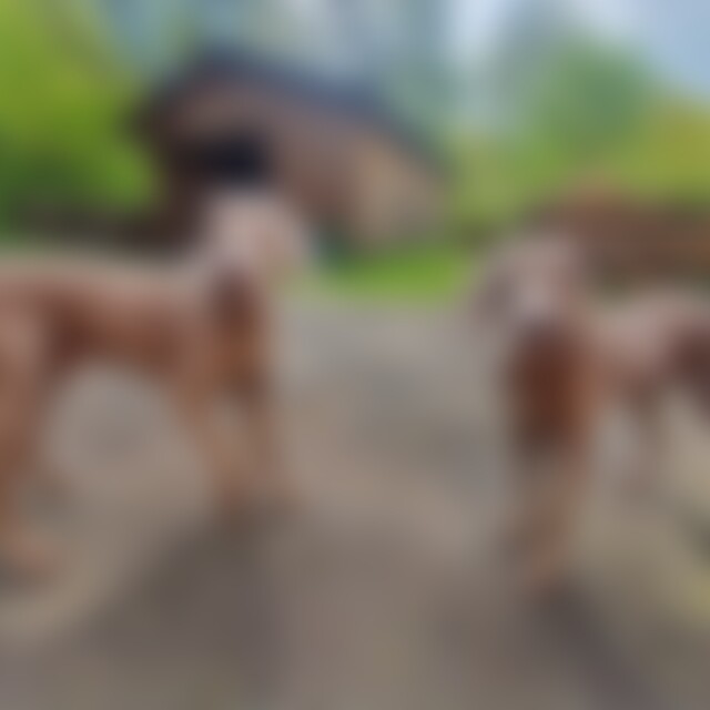 Alexa (56) aus Marburg