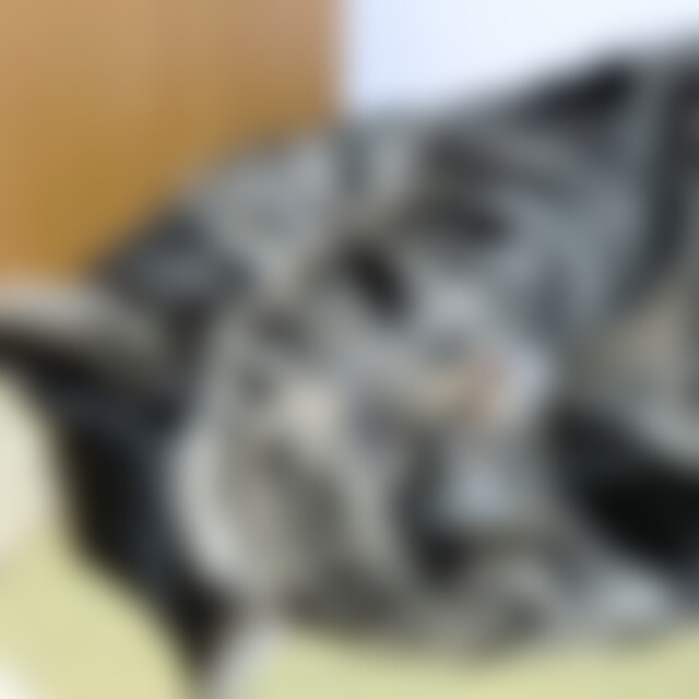 nyloner2001 (66) aus Stuttgart