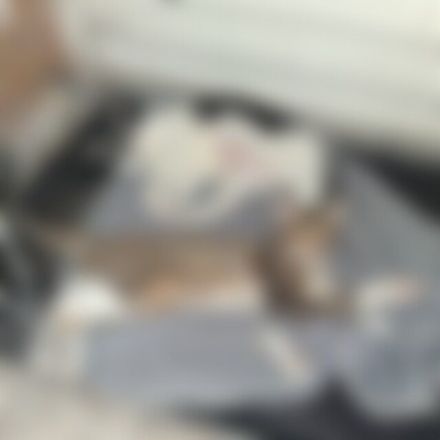 Diegojanosch (38) aus Neuendettelsau