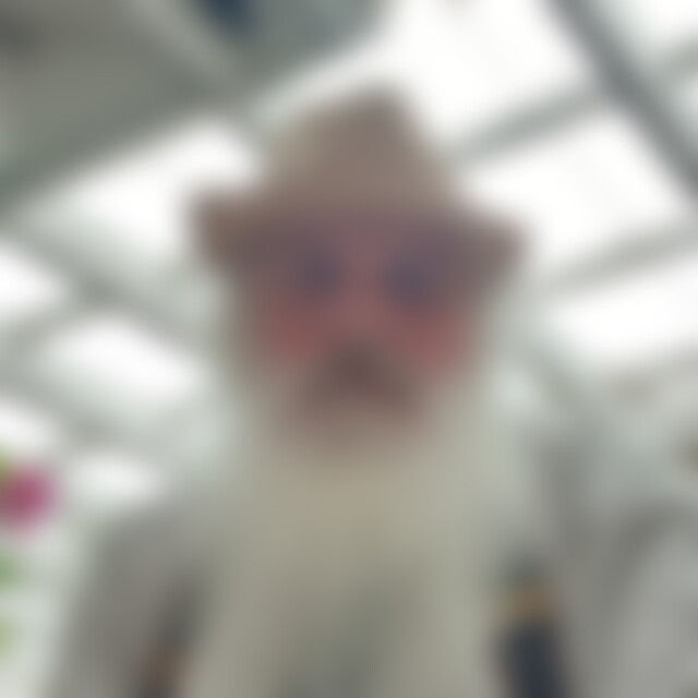 einbeinmanngesucht (72) aus Hollabrunn