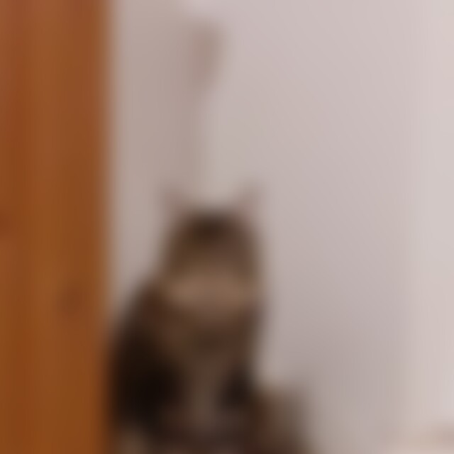 Meerschwein (42) aus Freiberg
